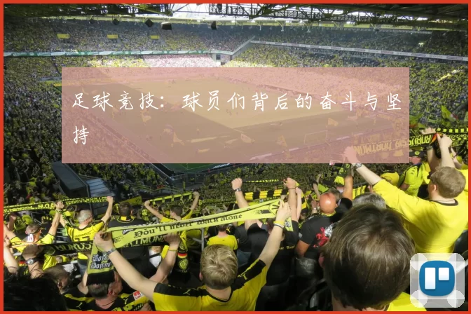 足球竞技：球员们背后的奋斗与坚持