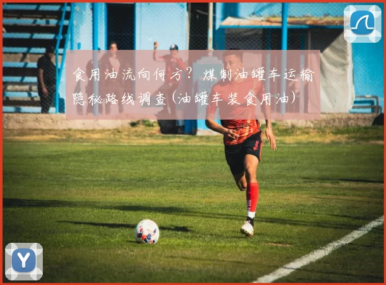 食用油流向何方？煤制油罐车运输隐秘路线调查(油罐车装食用油)